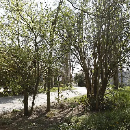 Luna 3* San Felice sul Panaro